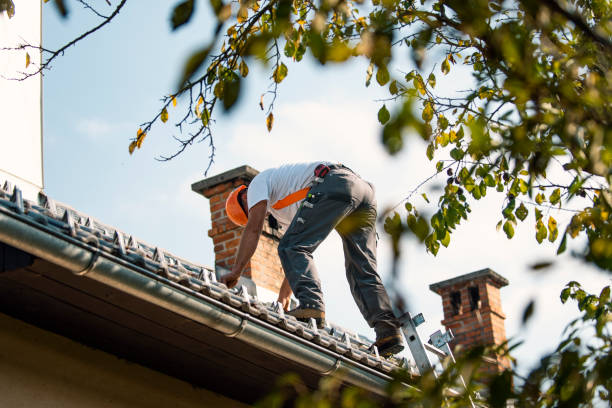 Fast & Reliable Emergency Roof Repairs in Hailey, ID