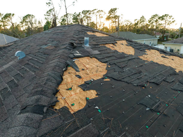 Best Wood Shake Roofing  in Hailey, ID